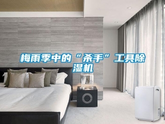 行業(yè)新聞梅雨季中的“殺手”工具除濕機(jī)