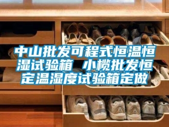 知識(shí)百科中山批發(fā)可程式恒溫恒濕試驗(yàn)箱 小欖批發(fā)恒定溫濕度試驗(yàn)箱定做