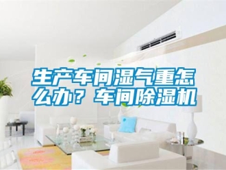 常見(jiàn)問(wèn)題生產(chǎn)車間濕氣重怎么辦？車間除濕機(jī)