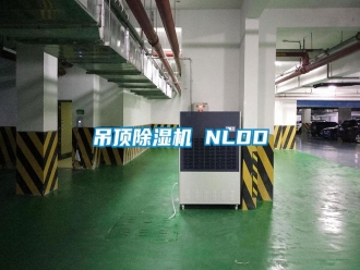 企業(yè)新聞吊頂除濕機(jī) NLDD