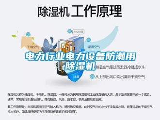 企業(yè)新聞電力行業(yè)電力設(shè)備防潮用除濕機(jī)