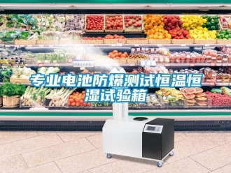 知識(shí)百科專業(yè)電池防爆測(cè)試恒溫恒濕試驗(yàn)箱