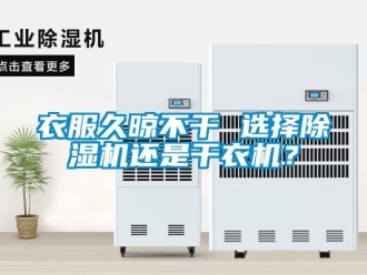 知識百科衣服久晾不干 選擇除濕機(jī)還是干衣機(jī)？