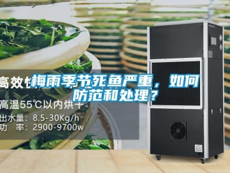 常見問題梅雨季節(jié)死魚嚴(yán)重，如何防范和處理？