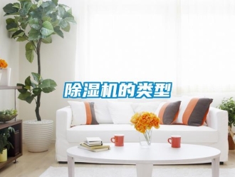 企業(yè)新聞除濕機(jī)的類型