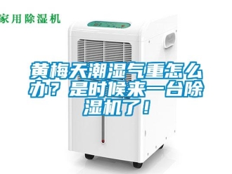 常見問題黃梅天潮濕氣重怎么辦？是時(shí)候來一臺除濕機(jī)了！