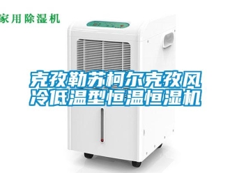 知識百科克孜勒蘇柯爾克孜風(fēng)冷低溫型恒溫恒濕機(jī)