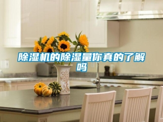常見問題除濕機(jī)的除濕量你真的了解嗎