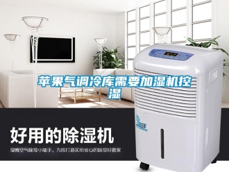 行業(yè)新聞蘋果氣調(diào)冷庫需要加濕機(jī)控濕