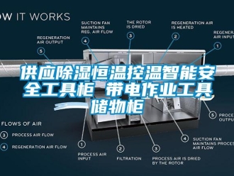知識百科供應(yīng)除濕恒溫控溫智能安全工具柜 帶電作業(yè)工具儲物柜