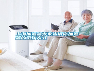 知識百科上海加濕器專家告訴你加濕器的工作方式
