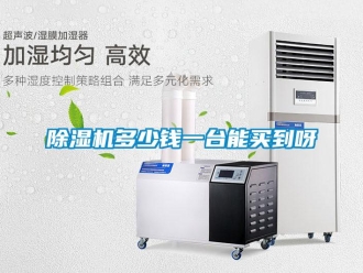 企業(yè)新聞除濕機(jī)多少錢一臺能買到呀