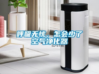 行業(yè)新聞呼吸無憂，怎會少了空氣凈化器