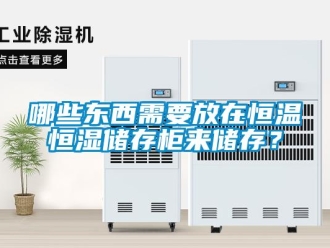 知識(shí)百科哪些東西需要放在恒溫恒濕儲(chǔ)存柜來(lái)儲(chǔ)存？