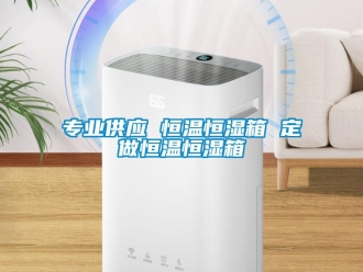 知識(shí)百科專業(yè)供應(yīng) 恒溫恒濕箱 定做恒溫恒濕箱