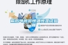 前后可視窗恒溫恒濕試驗(yàn)箱