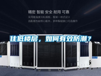 常見(jiàn)問(wèn)題住低樓層，如何有效防潮？