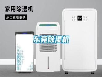 企業(yè)新聞東莞除濕機