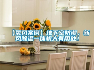 常見問題【氧風(fēng)案例】地下室防潮，新風(fēng)除濕一體機(jī)大有用處！