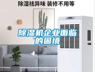 常見問題除濕機企業(yè)面臨的困境