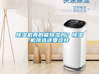 常見問題除濕機真的能除濕嗎？除濕機挑選還要這樣