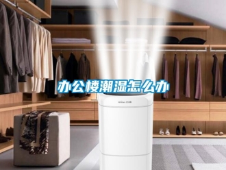 常見問題辦公樓潮濕怎么辦