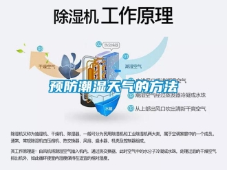 知識百科預(yù)防潮濕天氣的方法