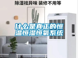 知識(shí)百科什么是真正的恒溫恒濕恒氧系統(tǒng)