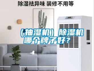 企業(yè)新聞（抽濕機）除濕機哪個牌子好？
