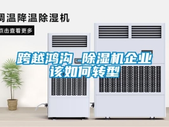 常見問(wèn)題跨越鴻溝 除濕機(jī)企業(yè)該如何轉(zhuǎn)型