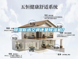 企業(yè)新聞除濕你選空調(diào)還是除濕機？