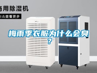 行業(yè)新聞梅雨季衣服為什么會臭？