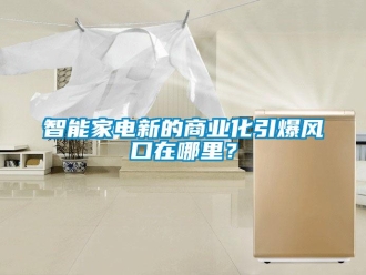 知識百科智能家電新的商業(yè)化引爆風(fēng)口在哪里？