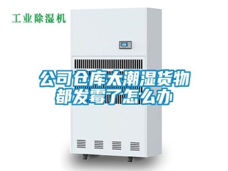 常見問題公司倉庫太潮濕貨物都發(fā)霉了怎么辦