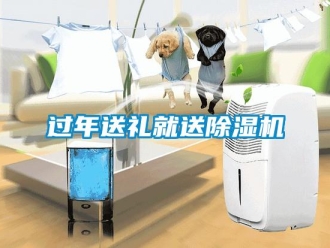 行業(yè)新聞過(guò)年送禮就送除濕機(jī)