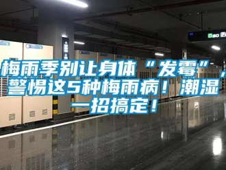 行業(yè)新聞梅雨季別讓身體“發(fā)霉”，警惕這5種梅雨病！潮濕一招搞定！