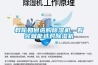 教你如何選購除濕機，看完就能選對除濕機