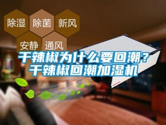 企業(yè)新聞干辣椒為什么要回潮？干辣椒回潮加濕機(jī)