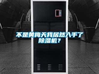 企業(yè)新聞不是黃梅天我居然入手了除濕機？