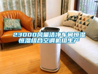 常見問題23000風(fēng)量潔凈車間恒濕恒濕組合空調(diào)機(jī)組生產(chǎn)