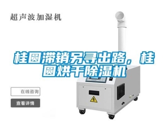 行業(yè)新聞桂圓滯銷另尋出路，桂圓烘干除濕機(jī)
