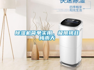 常見問題除濕機簡單實用，極限挑戰(zhàn)梅雨天