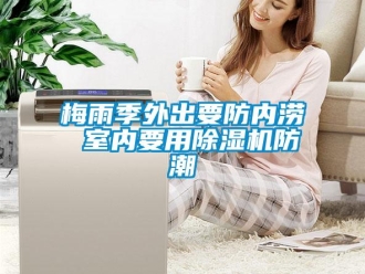 行業(yè)新聞梅雨季外出要防內(nèi)澇 室內(nèi)要用除濕機(jī)防潮