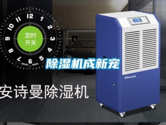 企業(yè)新聞除濕機(jī)成新寵