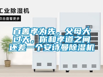 企業(yè)新聞百善孝為先，父母大過天，你和孝道之間還差一個安詩曼除濕機(jī)