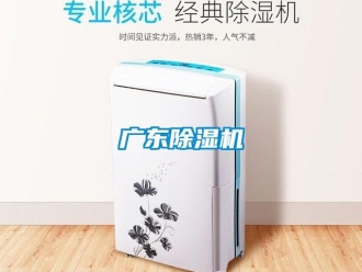 行業(yè)新聞廣東除濕機
