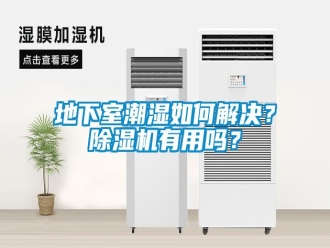 常見問題地下室潮濕如何解決？除濕機有用嗎？