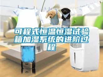 知識(shí)百科可程式恒溫恒濕試驗(yàn)箱加濕系統(tǒng)的進(jìn)階過(guò)程