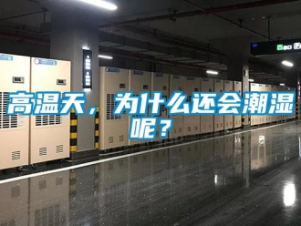 企業(yè)新聞高溫天，為什么還會(huì)潮濕呢？