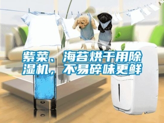 知識百科紫菜、海苔烘干用除濕機(jī)，不易碎味更鮮